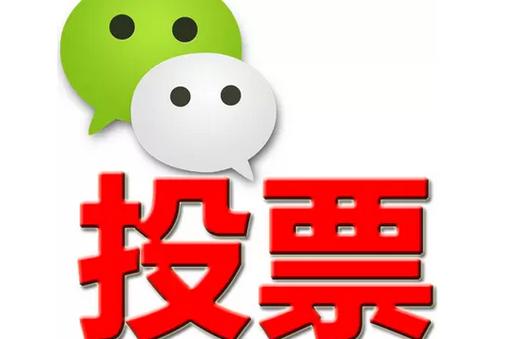 广东省微信投票功能开发 上传图片投票